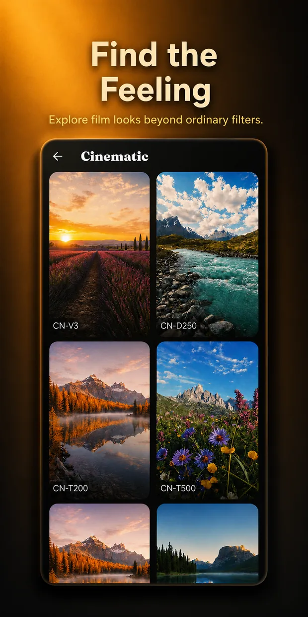 Browse curated film look collections